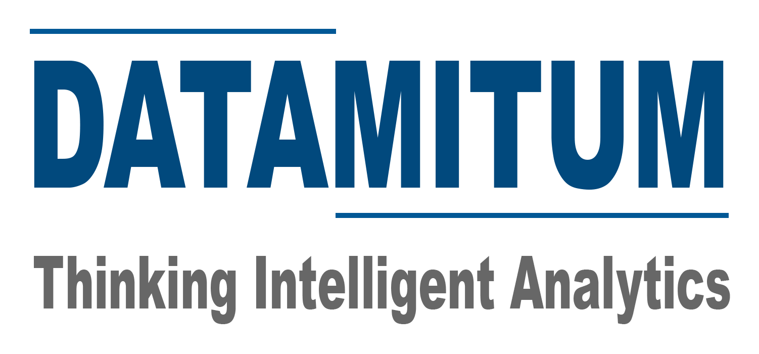 Datamitum-Logo