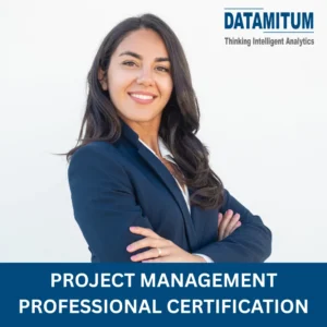 project management professionals